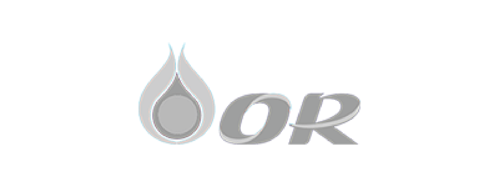 customer logo